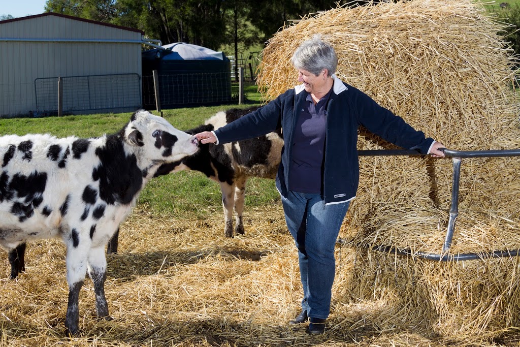 Wilsons Robotic Dairy Kyogle | school | 2019 Summerland Way, Roseberry NSW 2474, Australia | 0266364254 OR +61 2 6636 4254