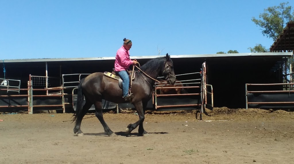 Buy and sell Training and breaking horse service | 49 Cherry Vale Pl, Young NSW 2594, Australia | Phone: 0458 275 879