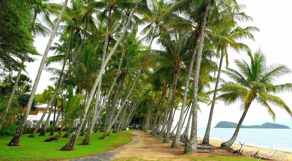 Palm Cove Campground | 149 Williams Esplanade, Palm Cove QLD 4879, Australia | Phone: 1800 736 640