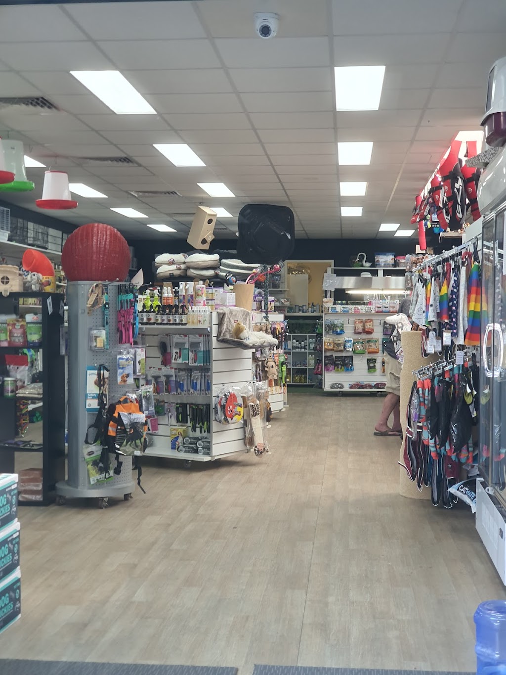 Animal Tales Pet Supplies & Dog Wash | pet store | 148 Thompson Ave, Cowes VIC 3922, Australia | 0359525516 OR +61 3 5952 5516