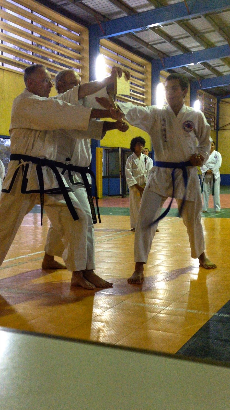 Toogee Tae Kwon Do | gym | 78D Port Stephens St, Raymond Terrace NSW 2324, Australia | 0418686241 OR +61 418 686 241