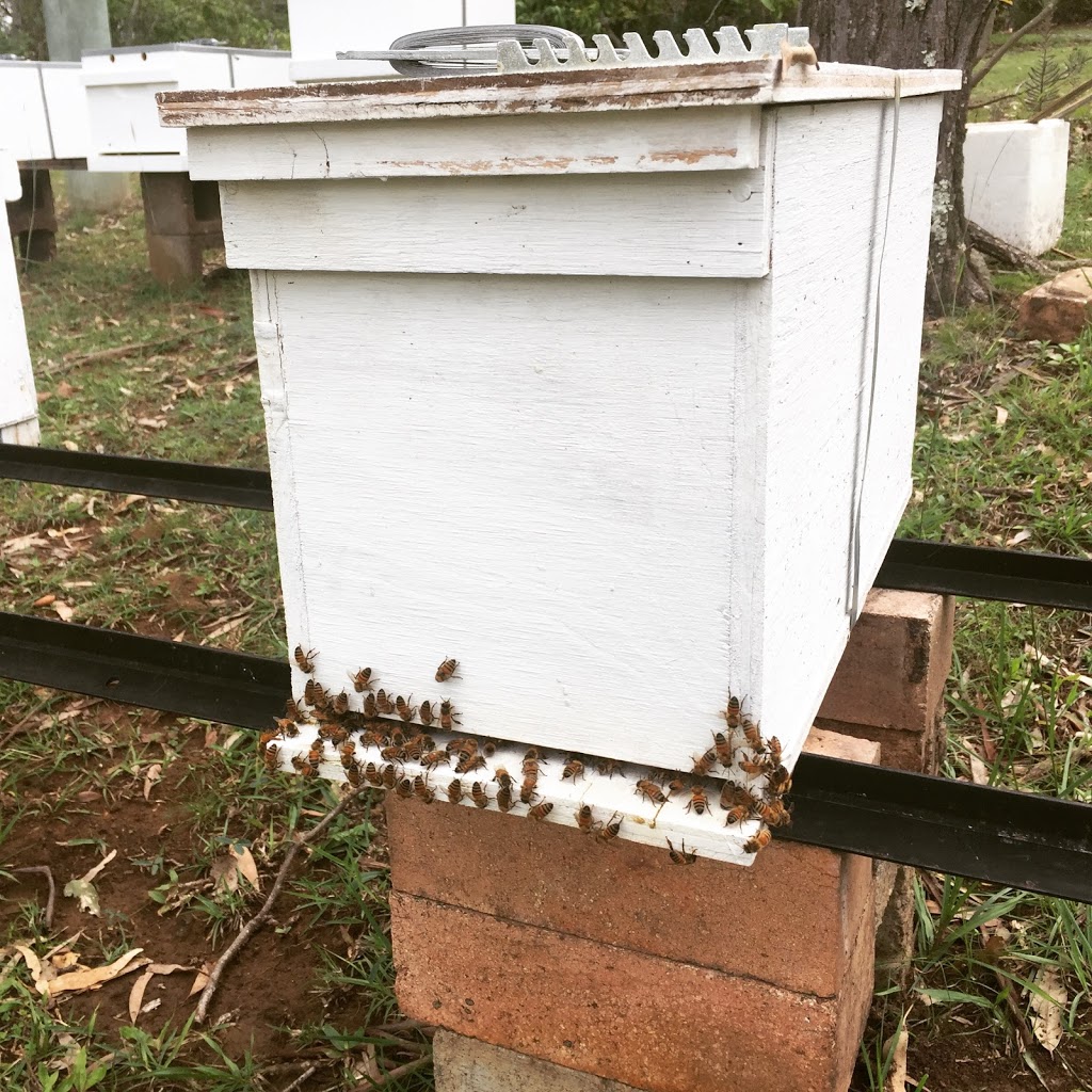 Bees In The Backyard | 1027 Dayboro Rd, Whiteside QLD 4503, Australia | Phone: 0432 883 711