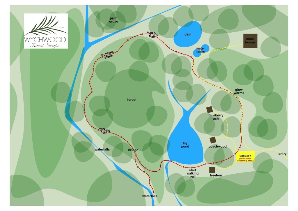 Wychwood Forest Escape | park | 1110 Urliup Rd, Murwillumbah NSW 2484, Australia | 0266725826 OR +61 2 6672 5826