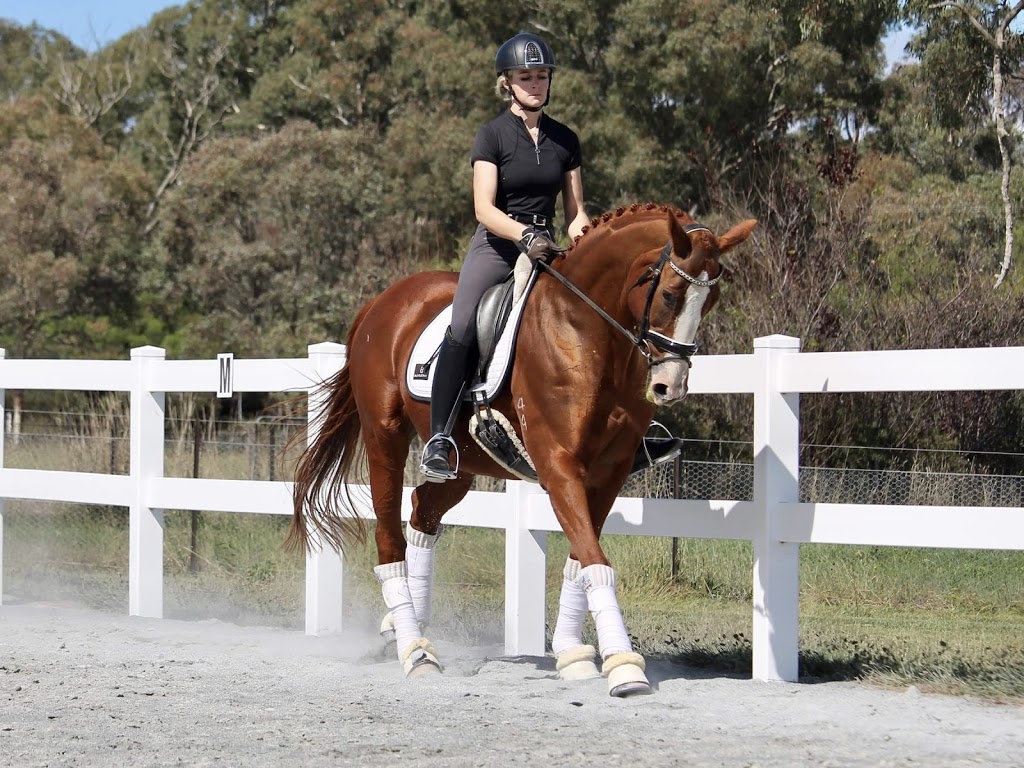 Apex Performance Horses |  | 19 Lakeview Dr, Murrumbateman NSW 2582, Australia | 0439247916 OR +61 439 247 916