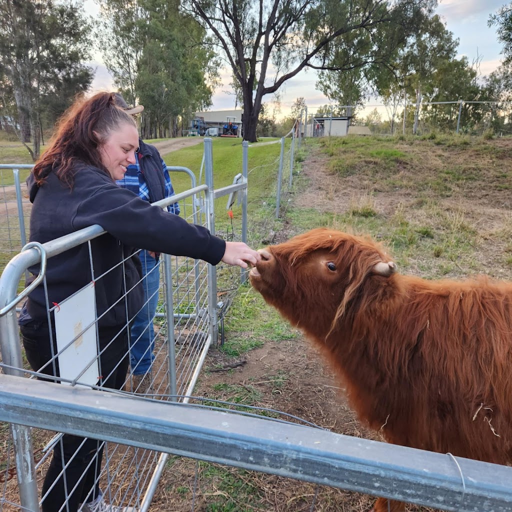 Rocky Creek Homestead | 12 Brookside Pl, Postmans Ridge QLD 4352, Australia | Phone: 0450 661 476