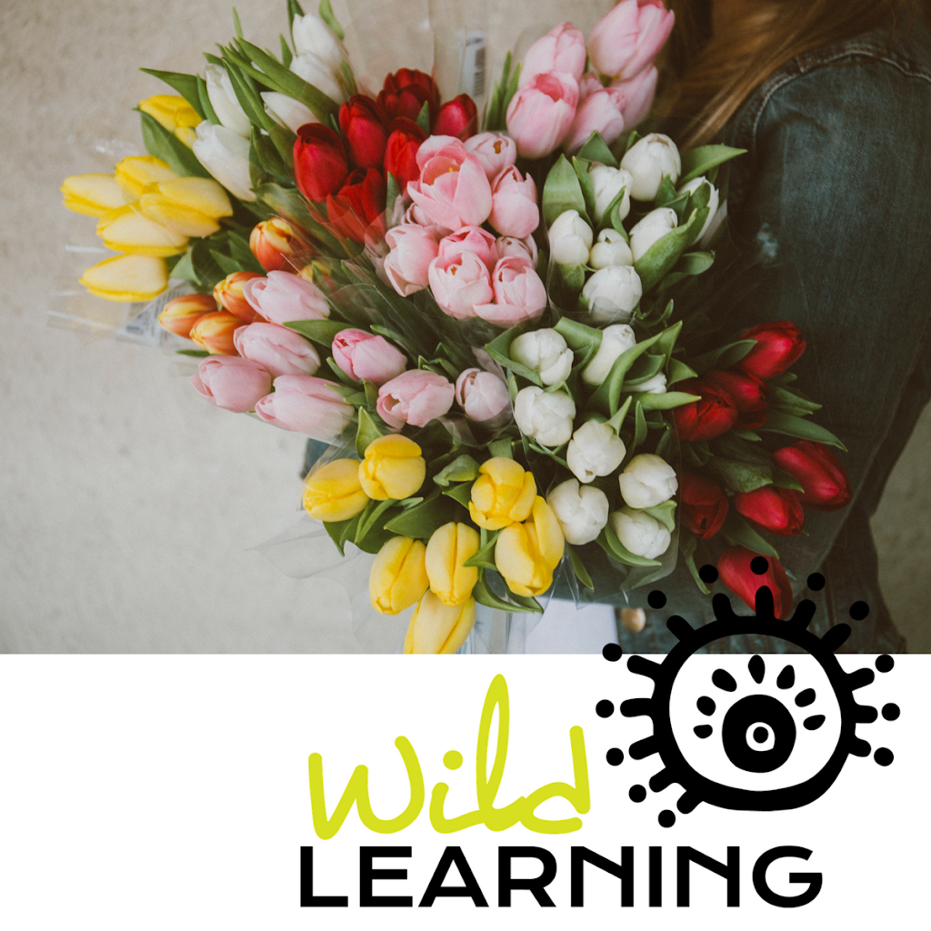 Wild Learning | 111 Wollombi Rd, Cessnock NSW 2325, Australia | Phone: 0412 835 865