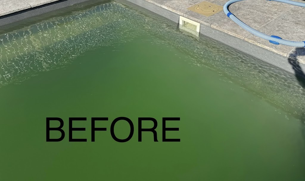 Pacific Palms Pool Maintenance | 14 Karnang Dr, Boomerang Beach NSW 2428, Australia | Phone: 0419 274 279