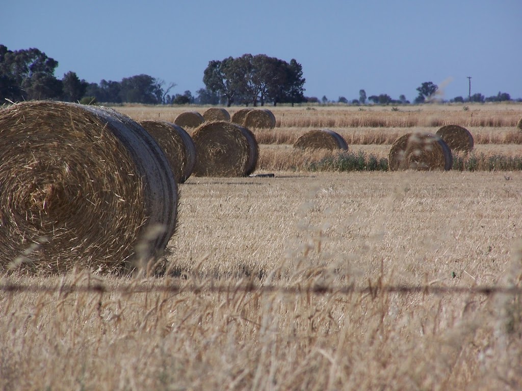 JLB Livestock & Property | 38 Bencubbin Ave, Coleambally NSW 2707, Australia | Phone: 0427 544 522