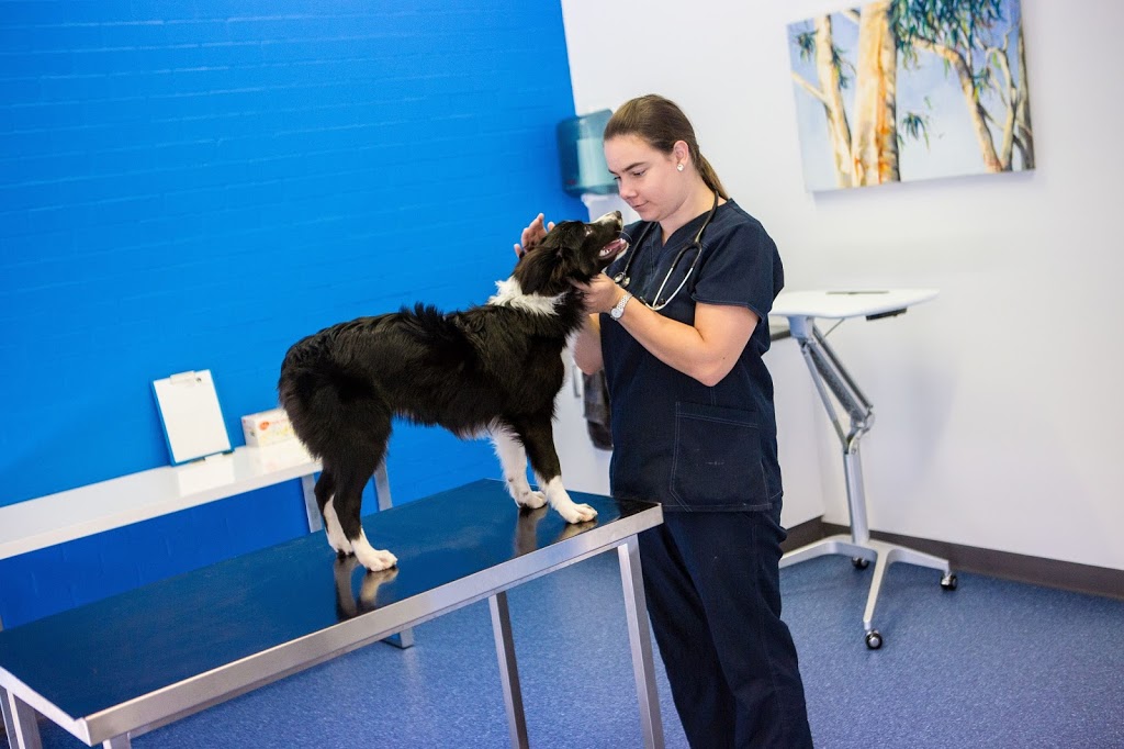 River Country Animal Emergency Centre | veterinary care | 2/12 Moorefield Park Dr, West Wodonga VIC 3690, Australia | 0260568580 OR +61 2 6056 8580
