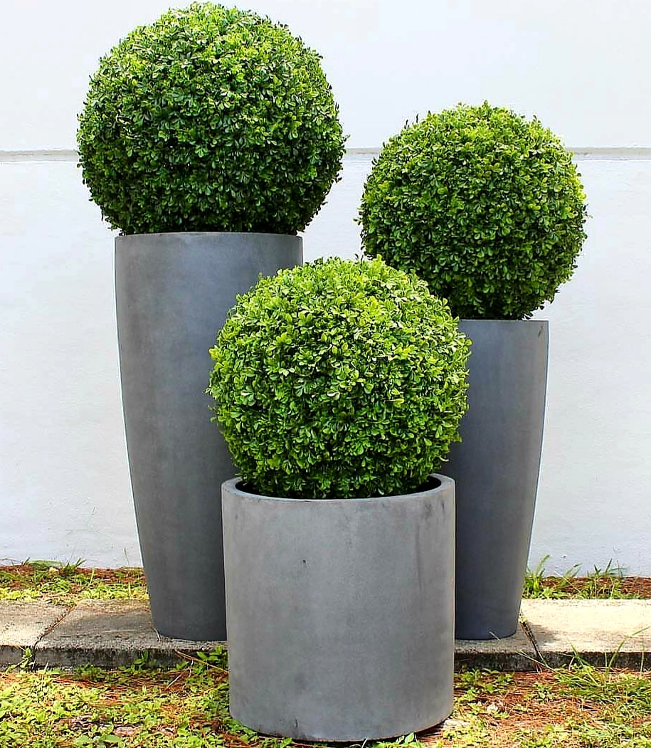 Artificial Plants Online | 11/2187 Castlereagh Rd, Penrith NSW 2750, Australia | Phone: (02) 4721 4918