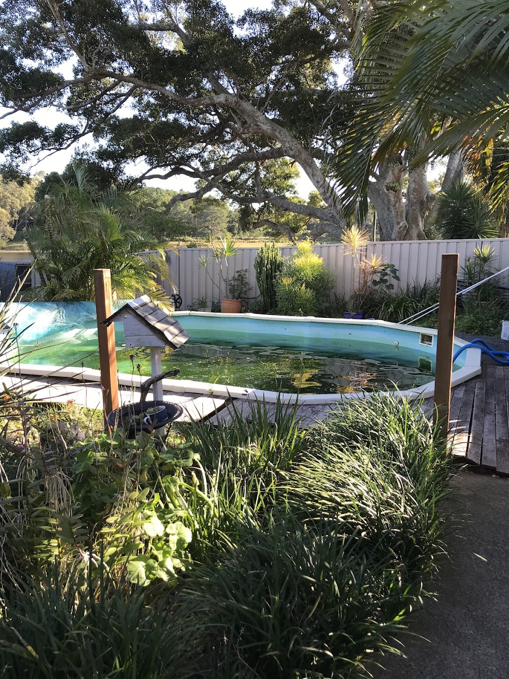Feature Pools & Landscape Design | Newmans Rd, Woolgoolga NSW 2456, Australia | Phone: 0412 314 318