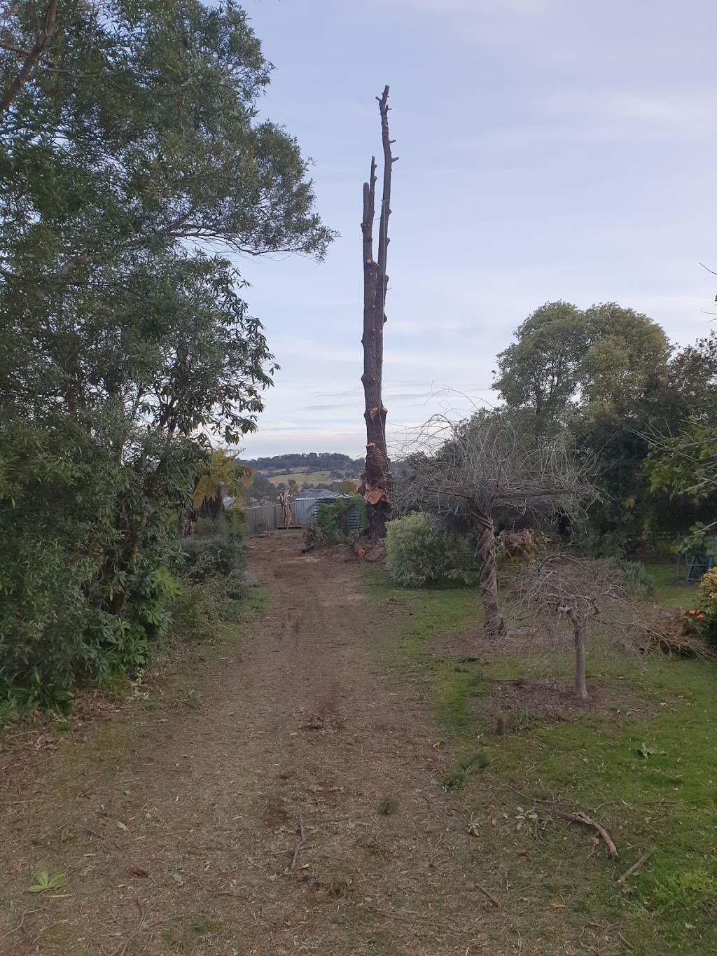 Ezi Cut Tree Services | Four Winds, 190 Bowral St, Bowral NSW 2576, Australia | Phone: 0411 891 146