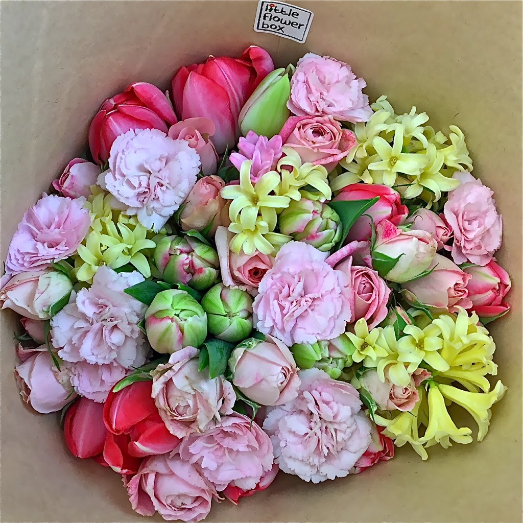 little flower box | 1/112 James St, Templestowe VIC 3106, Australia | Phone: (03) 9846 6526