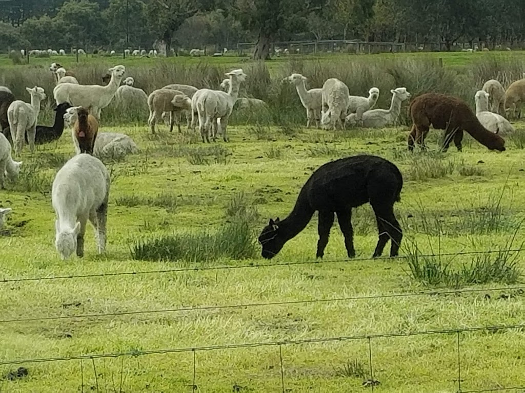 Ambersun Alpacas |  | 2721 Victor Harbor Rd, Mount Compass SA 5210, Australia | 0417826762 OR +61 417 826 762