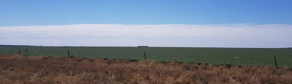 Mazeppa National Park | Frankfield QLD 4721, Australia | Phone: (07) 3170 5470