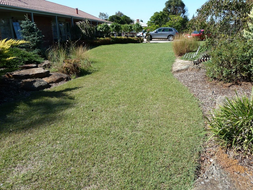 Papa H’s Bar & Grill | 94 Solitary Islands Way, Sapphire Beach NSW 2450, Australia | Phone: (02) 6653 7500