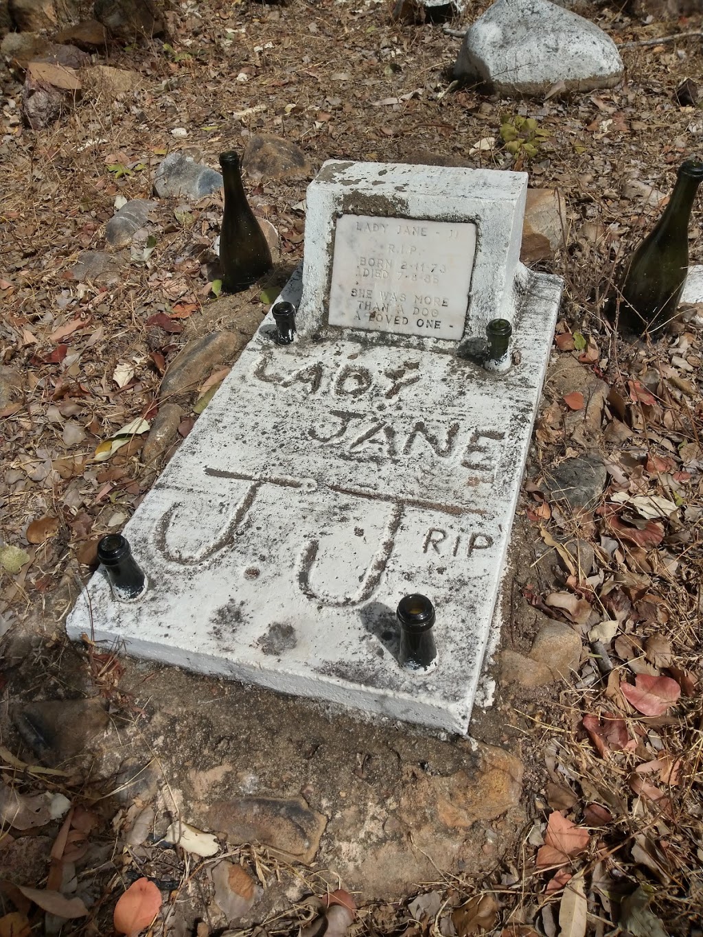 Montalbion Pioneer Cemetery | cemetery | Irvinebank QLD 4887, Australia