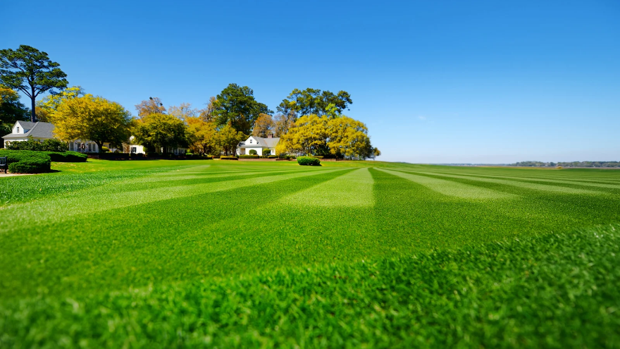 Saunders Affordable Lawn Services | 49 Helensvale Rd, Helensvale QLD 4212, Australia | Phone: 0401 257 118