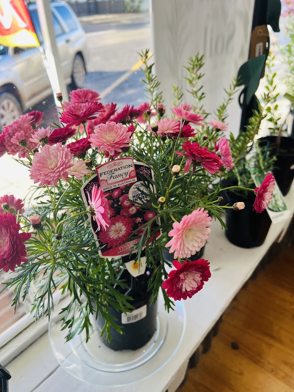 Soul of the Soil Co. | 11 Bruce St, Eudunda SA 5374, Australia | Phone: 0409 686 553