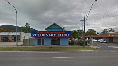Rockhampton Veterinary Clinic | veterinary care | 384 Dean St, Frenchville QLD 4701, Australia | 0749284266 OR +61 7 4928 4266