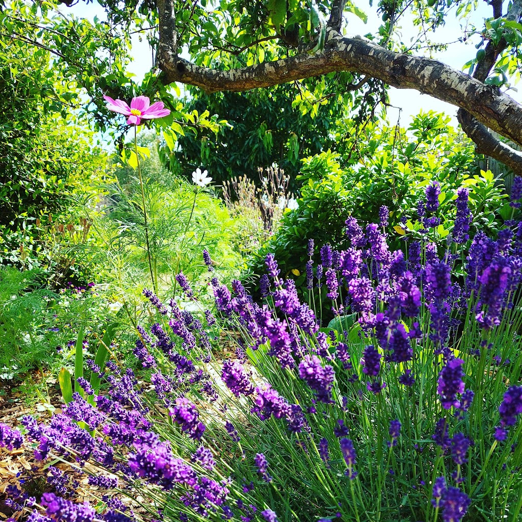 Little Farm Cottage - Organic Gardener | 526 Claude Rd, Sheffield TAS 7306, Australia | Phone: 0451 276 969