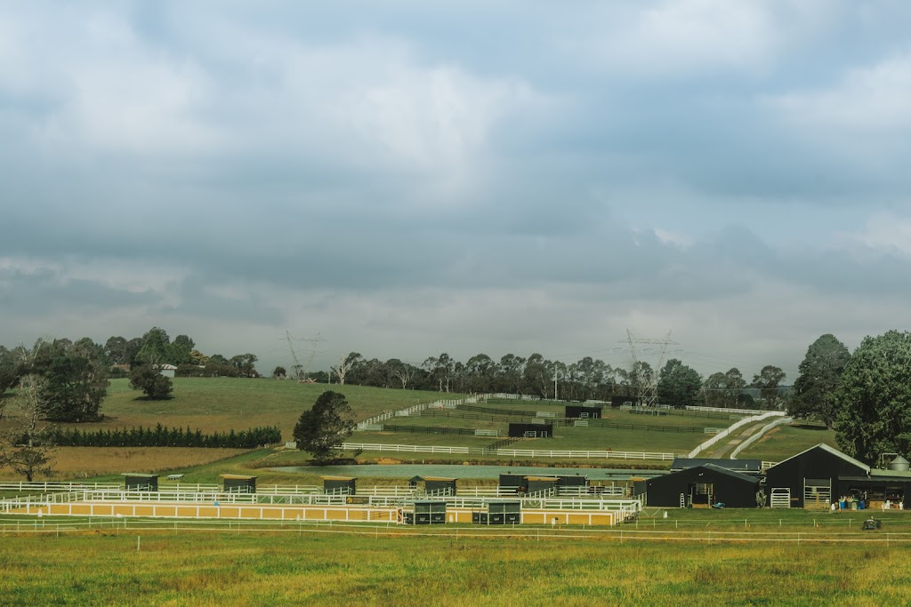 Heartland Horse Farm | 271 Exeter Rd, Sutton Forest NSW 2577, Australia | Phone: (02) 8424 6602