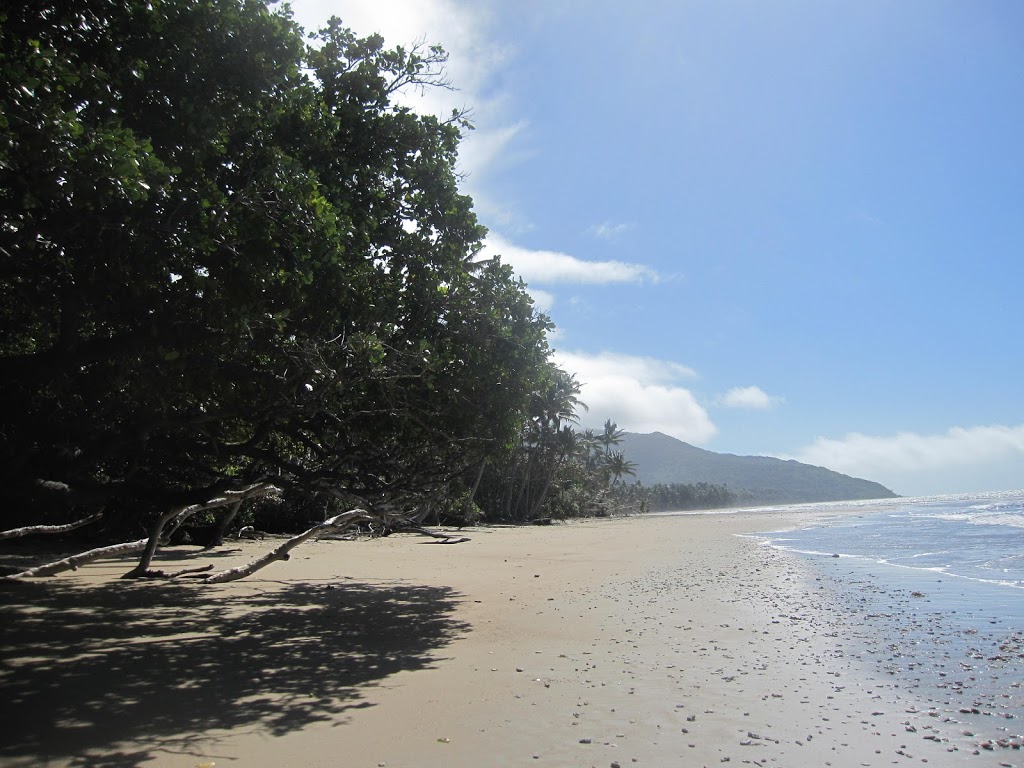 Cedar Bay National Park | park | Cedar Bay Road, Bloomfield QLD 4895, Australia | 137468 OR +61 137468