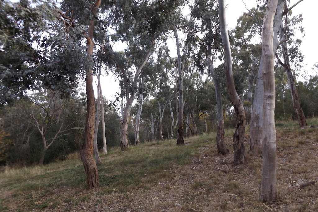 hawthorndene reserve | Watahuna Ave, Hawthorndene SA 5051, Australia