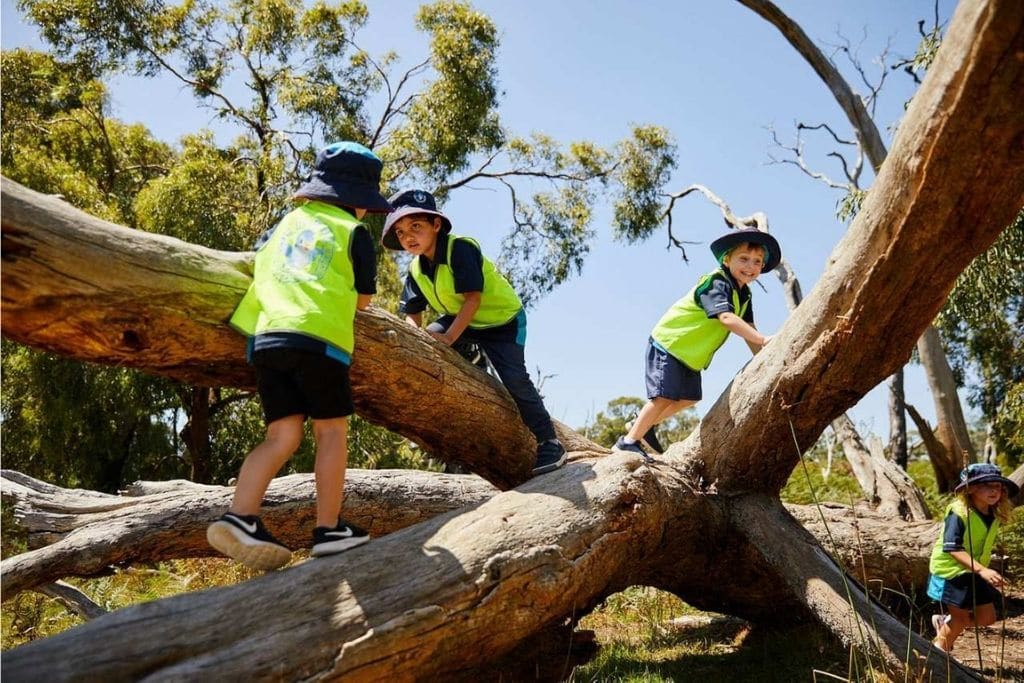 Bluebird Early Education Cranbourne | 78-80 Hoysted Ave, Cranbourne VIC 3977, Australia | Phone: 1300 692 632