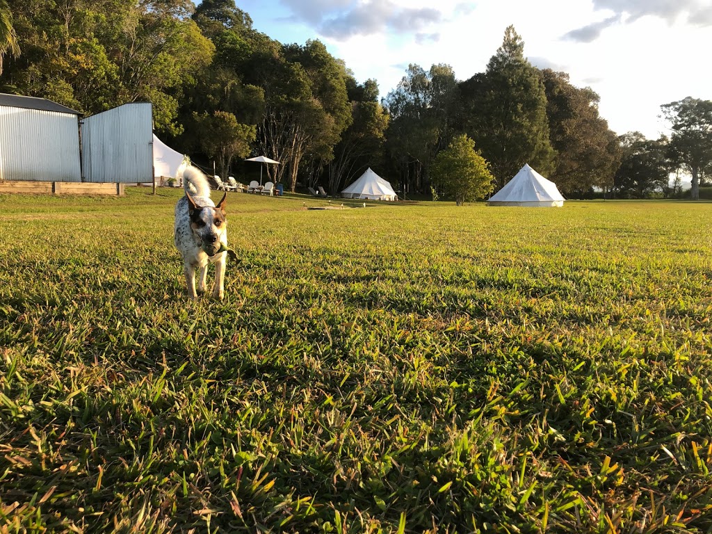 Tallaringa Luxury Camping | 147 Clothiers Creek Rd, Nunderi NSW 2484, Australia | Phone: 0418 244 344