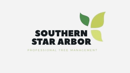 Southern Star Arbor | 16 Mimosa Rd, Budgewoi NSW 2262, Australia | Phone: 0468 907 684