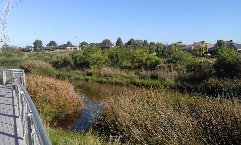 Chocolate Lilly Street Lake | Epping VIC 3076, Australia