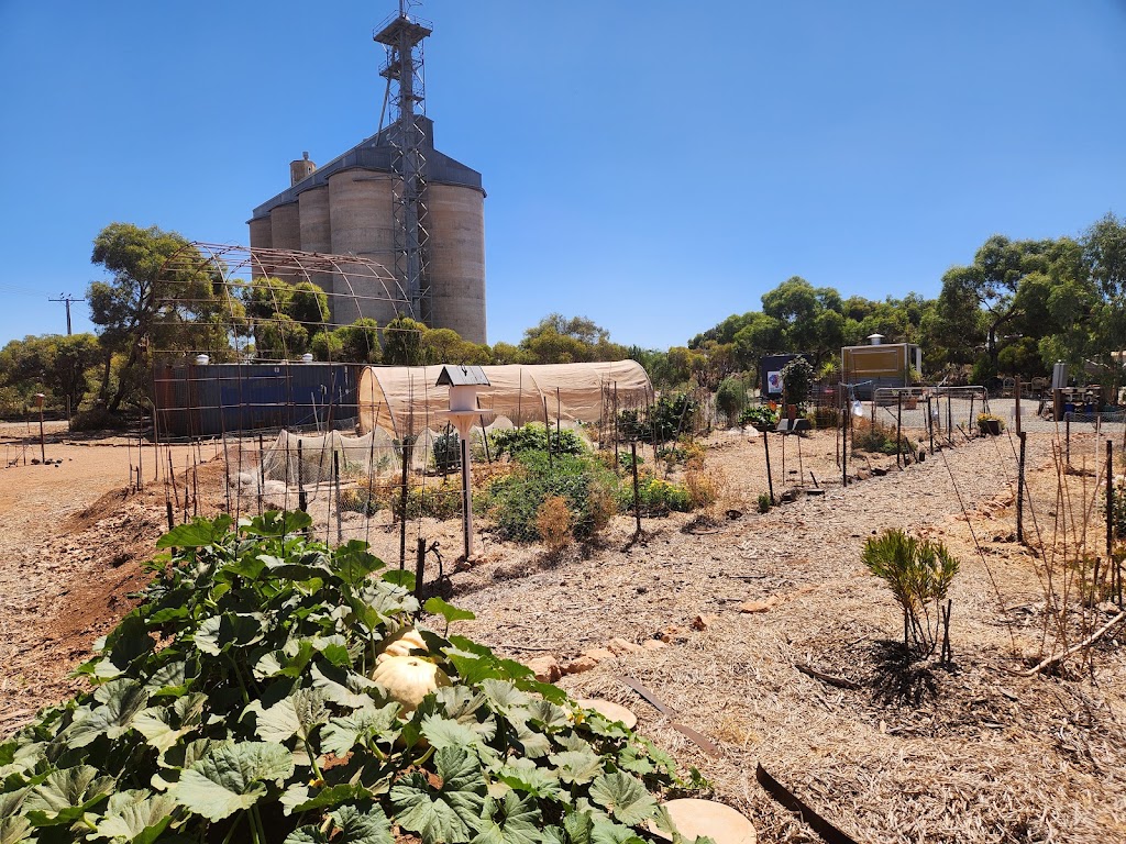 Foliage & Food | LOT 174 Main Rd, Robertstown SA 5381, Australia | Phone: 0439 707 339