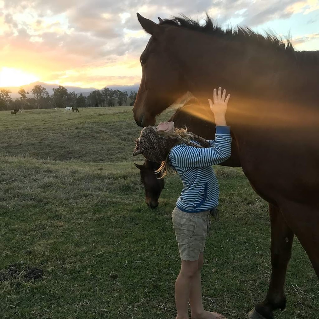 Breathe in Horses | point of interest | 569 Numinbah Rd, North Arm NSW 2484, Australia | 0419722856 OR +61 419 722 856