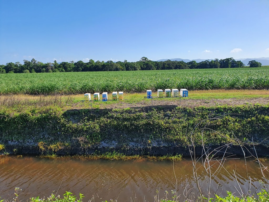 Scotts Free Range Bees | 25 Mill Reserve, Tully QLD 4854, Australia | Phone: 0429 619 474