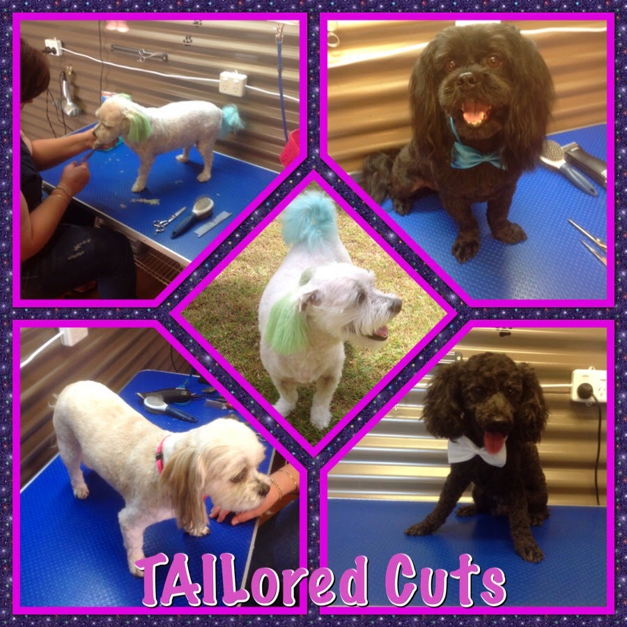 TAILored Cuts | 118 Clearview Ave, Thabeban QLD 4670, Australia | Phone: 0435 135 605