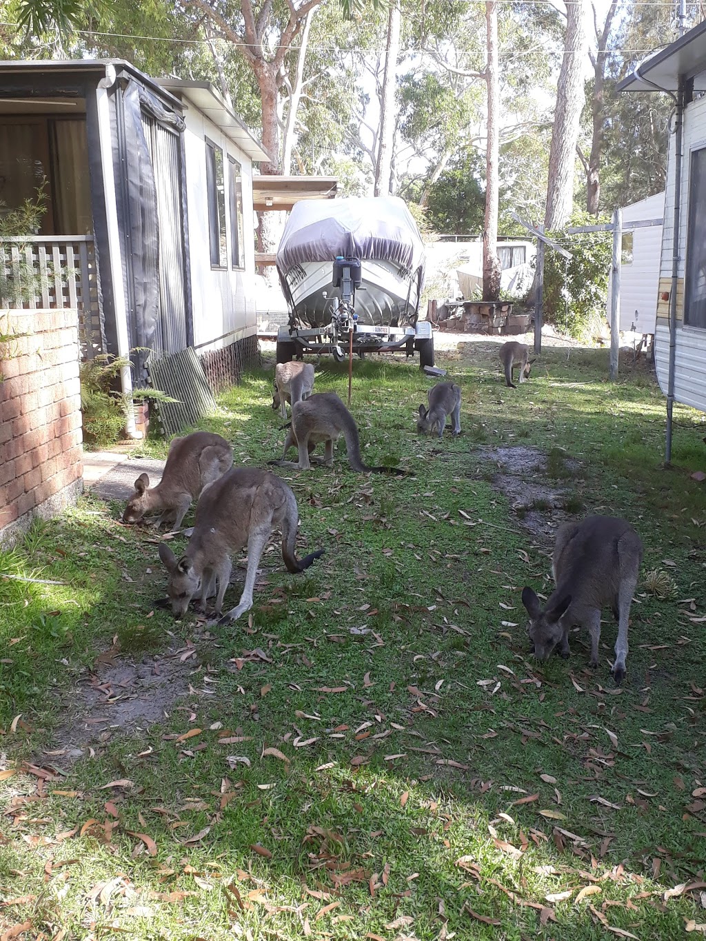 Bream Beach Holiday Park | 66 Wrights Beach Rd, Bream Beach NSW 2540, Australia | Phone: (02) 4443 0373