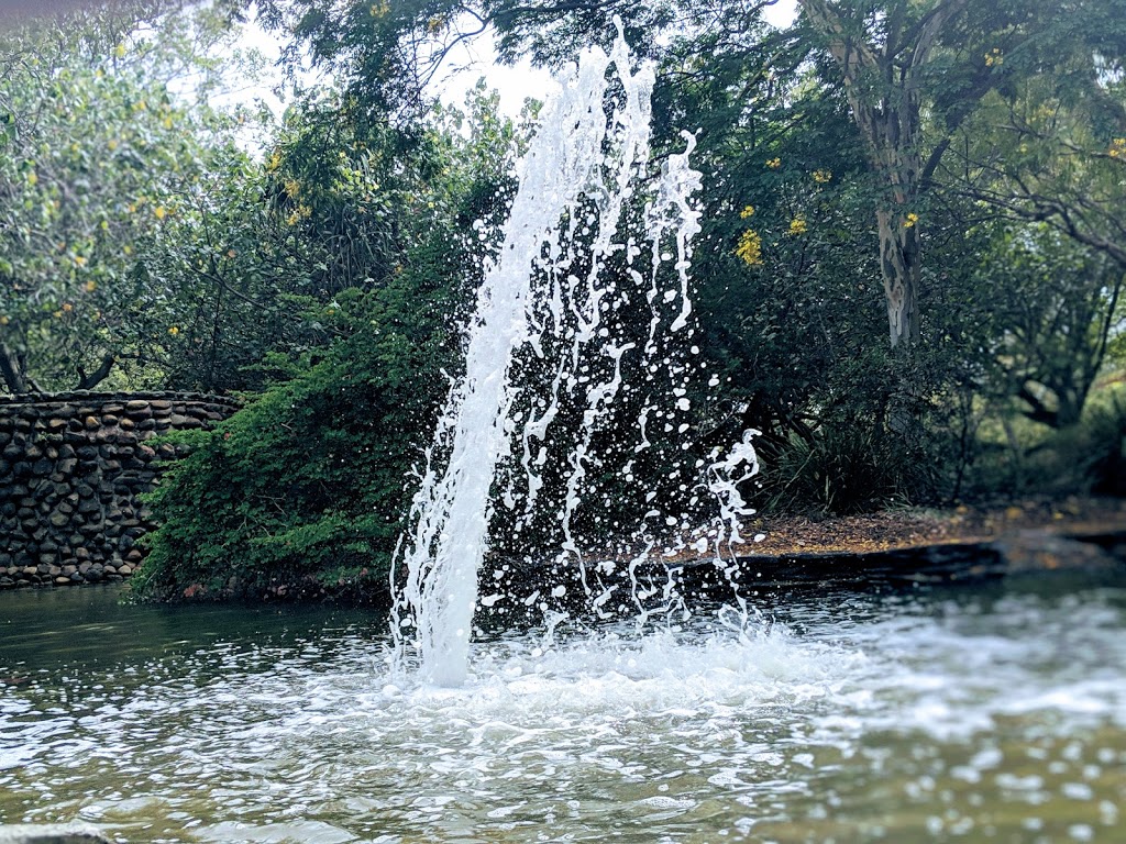 Macintosh Island Park | park | Surfers Paradise QLD 4217, Australia