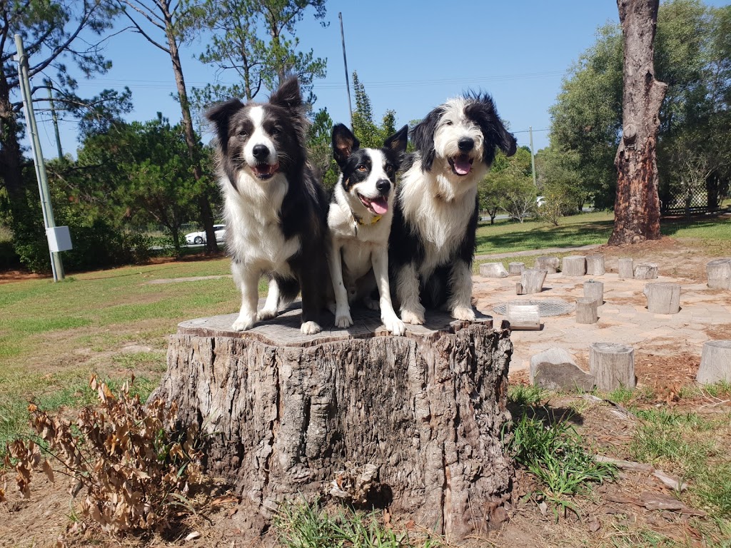 Peachy Community Garden | park | 13 McCreadie Rd, Ormeau Hills QLD 4208, Australia