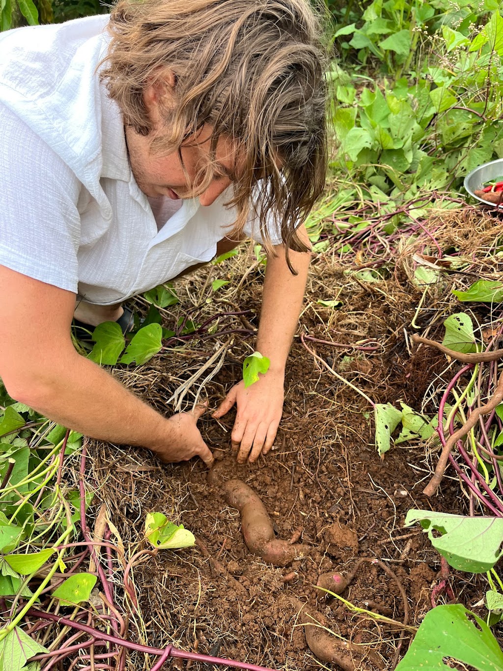 The Big Green Shed | 194 Kennedys Ln, Ewingsdale NSW 2481, Australia | Phone: 0401 781 276