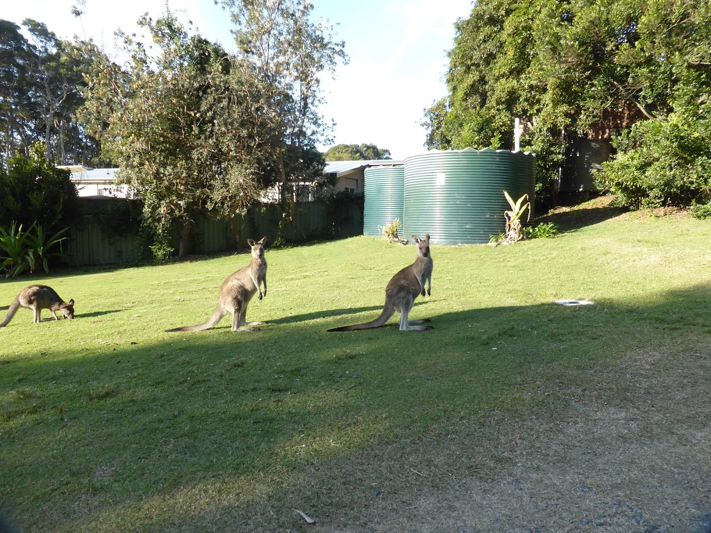 Depot Beach Cabins and Camping | 2B Depot Beach Rd, Depot Beach NSW 2536, Australia | Phone: 1300 072 757