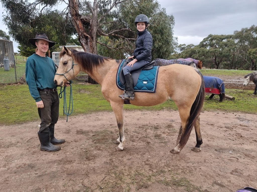 Rebel Equestrian Centre | 29 William Ct, Berringa VIC 3351, Australia | Phone: 0406 498 528