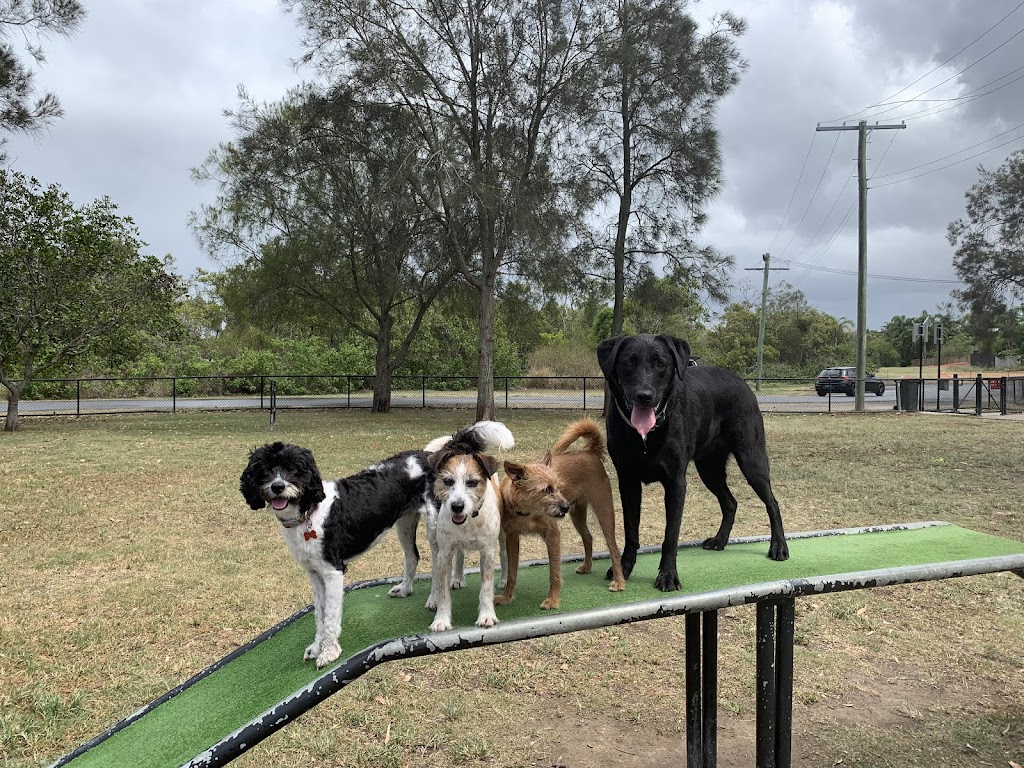 Brisbane City Dog Walking |  | 4 Cyril St, Camp Hill QLD 4152, Australia | 0409257361 OR +61 409 257 361