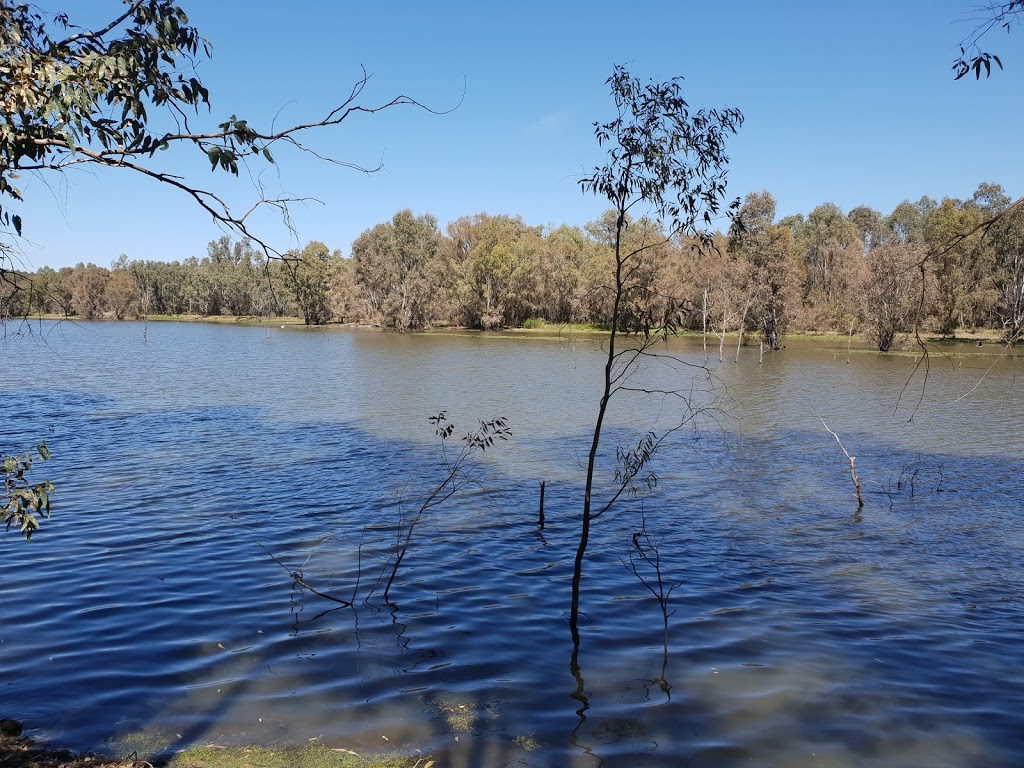 Wonga Wetlands | 2377 Riverina Hwy, Splitters Creek NSW 2640, Australia | Phone: (02) 6043 5820