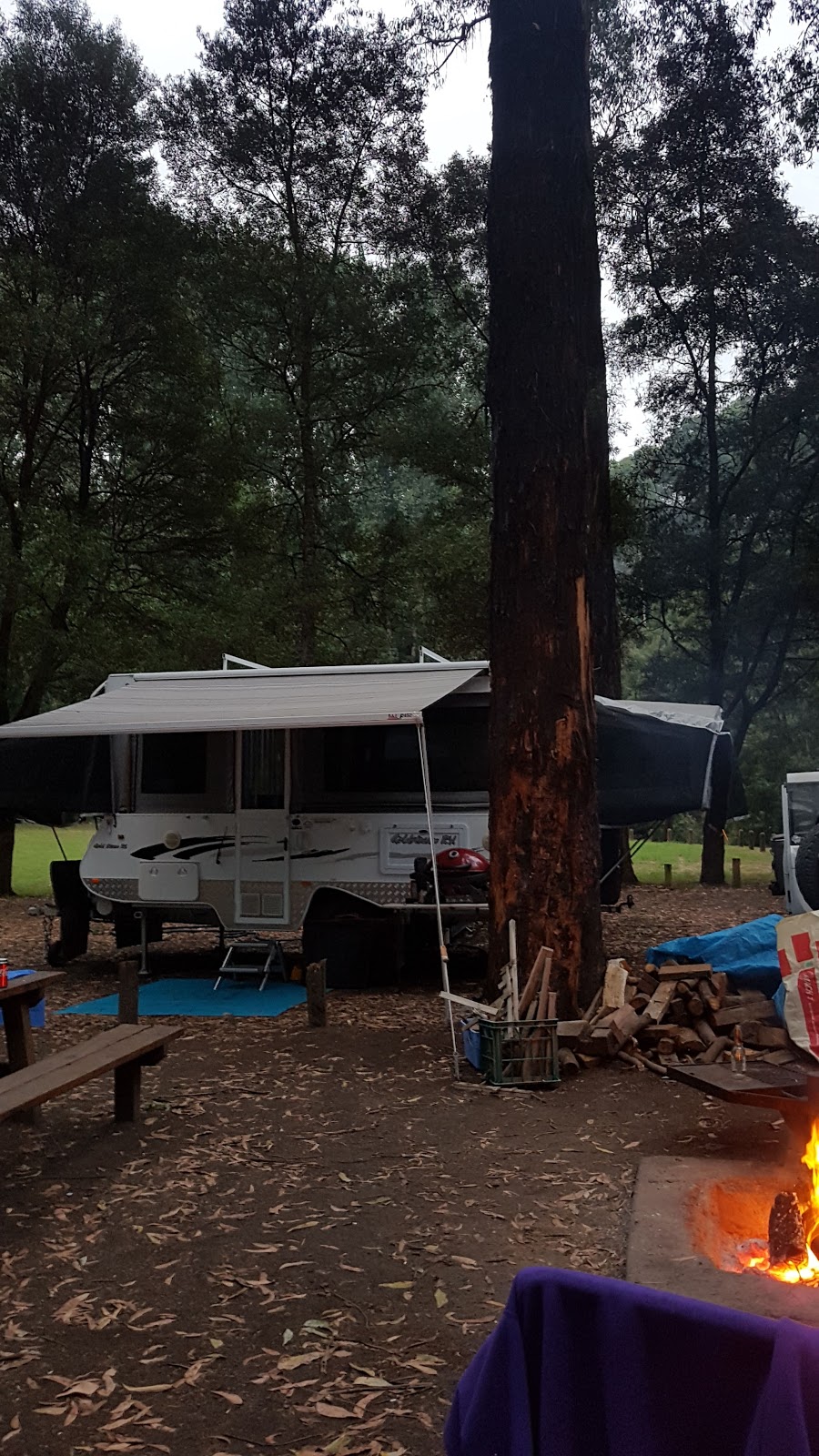 Dandos Camping Spot | Sayers Track, Gellibrand VIC 3239, Australia
