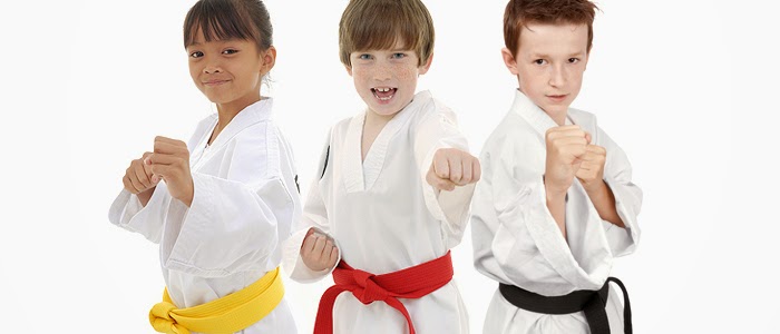 Satori Karate Mt Eliza | 105 Koetong Parade, Mount Eliza VIC 3930, Australia | Phone: (03) 9018 7866