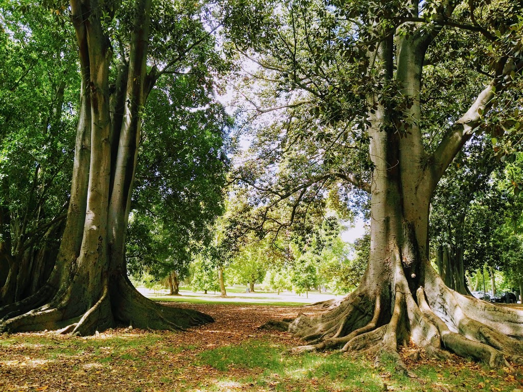 Botanic Park | park | Plane Tree Dr, Adelaide SA 5000, Australia | 0882229311 OR +61 8 8222 9311