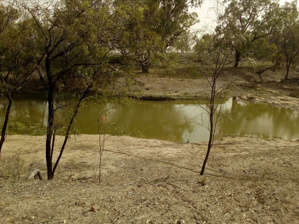 NAMOI RIVER CAMP GROUND. | Baradine-Collarenebri Rd, Pilliga NSW 2388, Australia