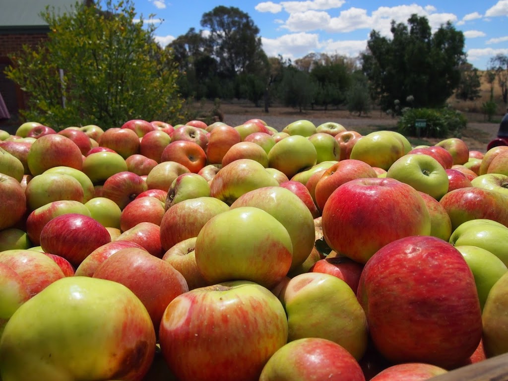 Small Acres Cyder | 12 Akhurst Rd, Nashdale NSW 2800, Australia | Phone: 0418 153 785