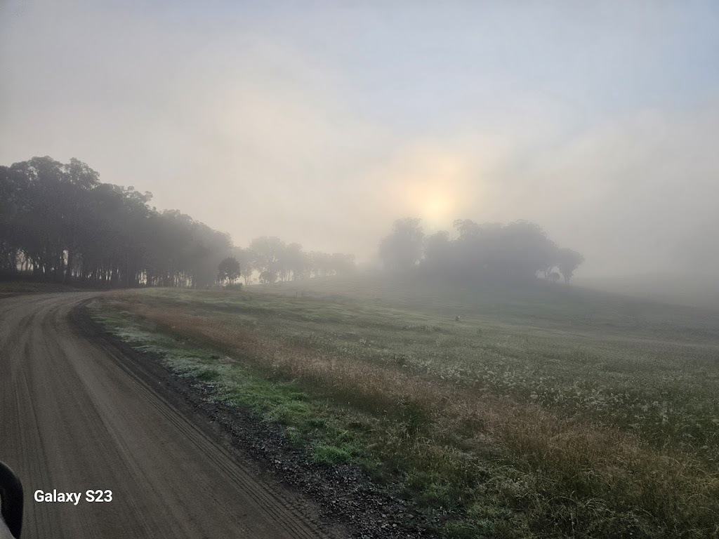 Sandon Grove Horse Agistment Armidale | Woodlands Rd, Armidale NSW 2350, Australia | Phone: 0428 659 091